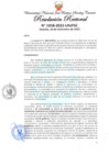 Vista preliminar de documento Resolución Rectoral
