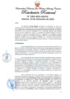 Vista preliminar de documento Resolución Rectoral