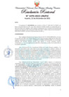 Vista preliminar de documento Resolución Rectoral
