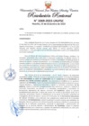 Vista preliminar de documento Resolución Rectoral