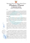Vista preliminar de documento Resolución Rectoral