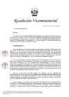 Vista preliminar de documento RVM N° 00119-2023-DE-VRD