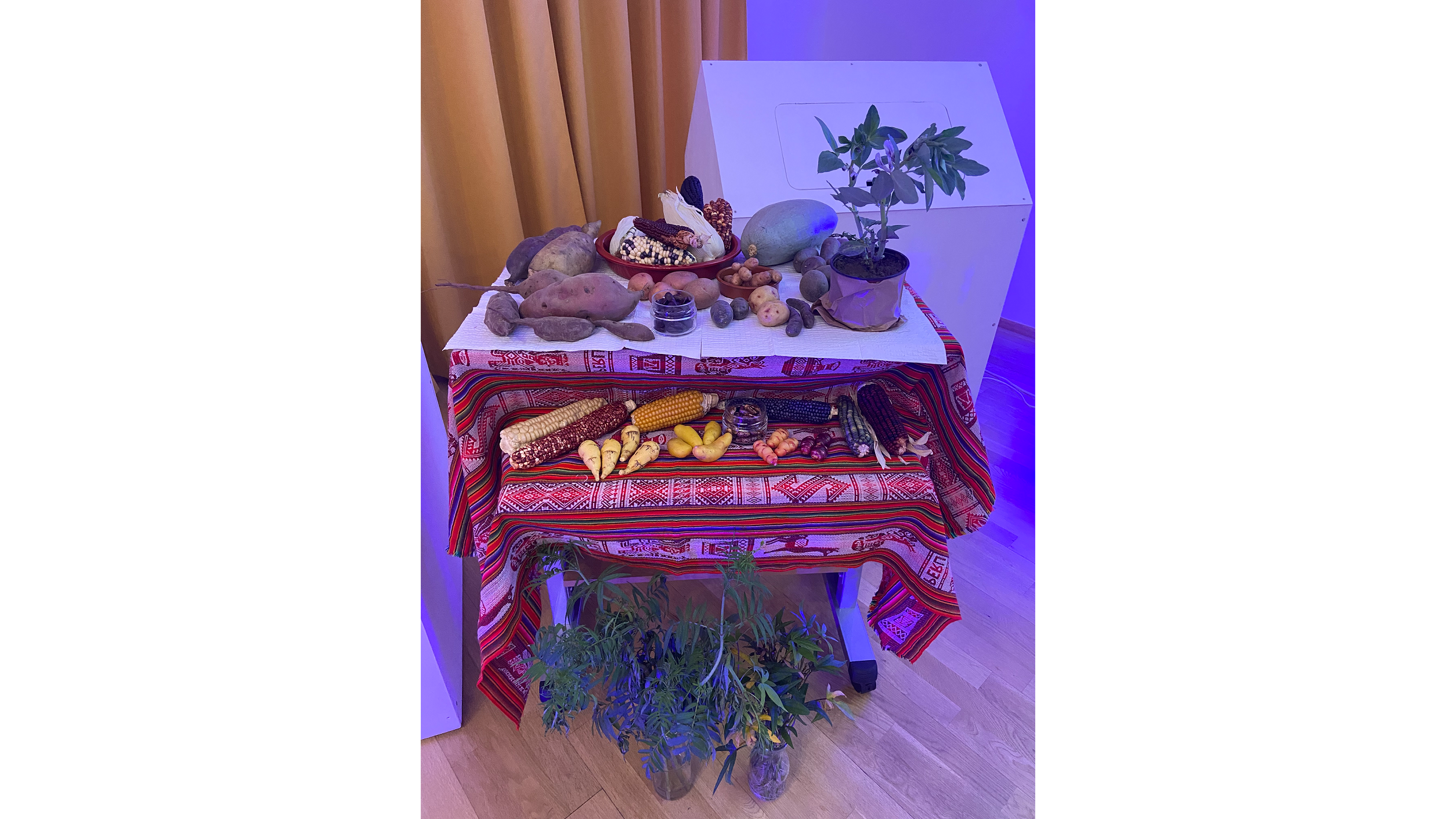 Conferencia “Los superalimentos en las culturas preincaicas e inca” en Viena
