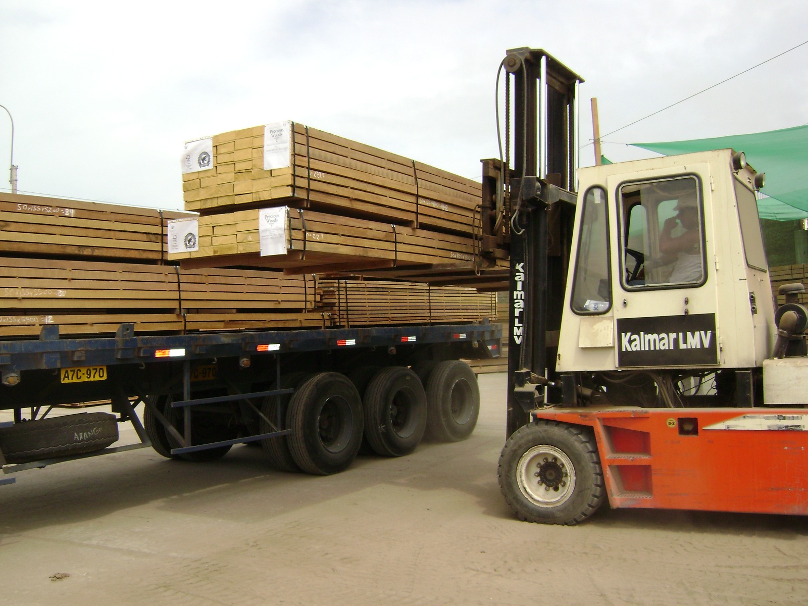 Bosques Sostenibles en Cajamarca