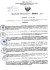 Vista preliminar de documento Resolución Directoral. N° 2647 - 2023 