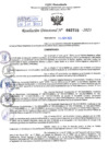 Vista preliminar de documento Resolución Directoral. N° 2729 - 2023 
