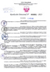 Vista preliminar de documento Resolución Directoral N° 2691 - 2023