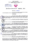 Vista preliminar de documento Resolución Directoral. N° 2733 - 2023 