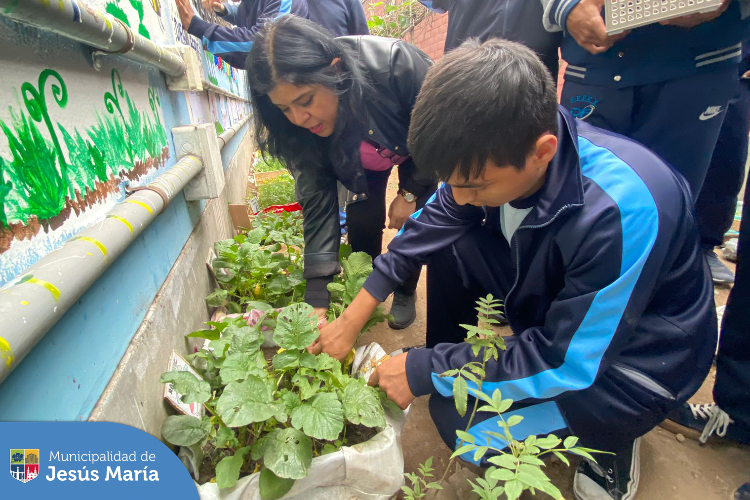 Con el objetivo de que los estudiantes 🧒👧🏻 jesusmarianos adquieran conocimientos y habilidades 💪 en la prevención y la solución de los problemas ambientales, 🌍 continuamos visitando diversos colegios del distrito. En esta oportunidad llevamos los talleres de 🌱 biohuertos urbanos al Colegio Diego Ferré.
¡Llámanos! 📱940410958 tu cole puede ser el próximo.