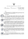 Vista preliminar de documento RESOLUCION DIRECTORAL N° 008-2020-ENSABAP