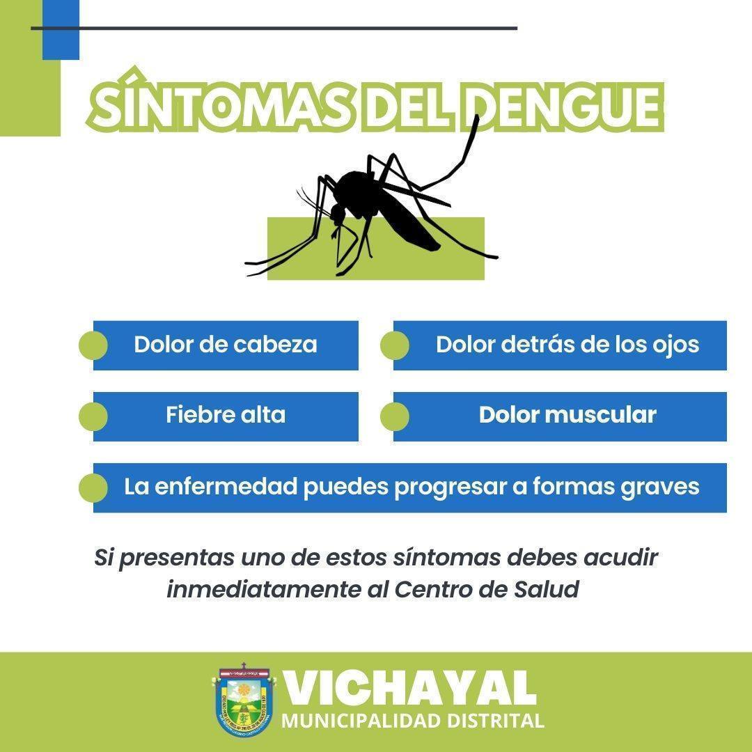 Alerta contra el Dengue