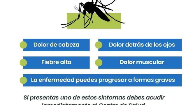 Alerta contra el Dengue