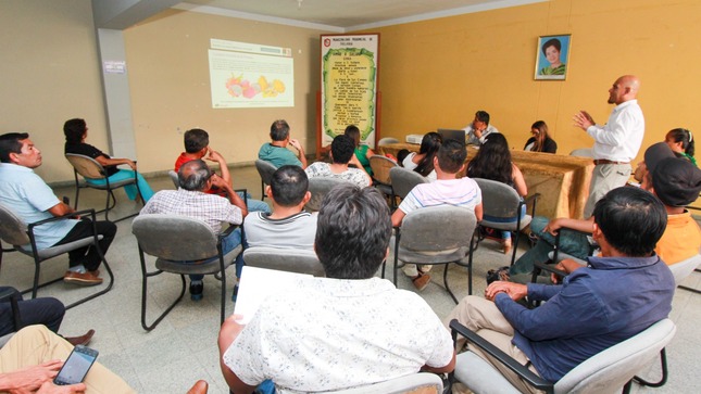 Municipalidad Busca Promover El Cultivo De La Pitahaya En La Provincia De Sullana