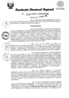 Vista preliminar de documento RDR Nº 3343-2023-GRSM-DRE