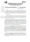 Vista preliminar de documento RDR N° 291-2023-GRU-DRA