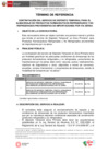 Vista preliminar de documento TDR - Depósito temporal para productos refrigerados y no-refrigerados - Modalidad aérea - definitivo