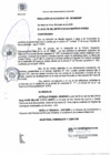 Vista preliminar de documento RA 130-2019