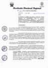Vista preliminar de documento RDR 222-2023