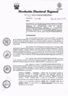 Vista preliminar de documento RDR 223-2023