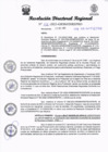Vista preliminar de documento RDR 226-2023