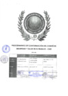 Vista preliminar de documento Descargar Procedimiento y Confirmación de Comité de Seguridad