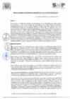 Vista preliminar de documento 22. RES. GM No. 113-2023-GM-MDSMP