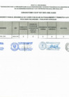 Vista preliminar de documento RESULTADOS-PRELIMINARES-EVAL.-CV-CAS-N°-017-2023