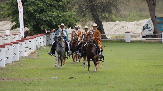 HOY DOMINGO CONTINÚA CONCURSO BINACIONAL DEL CABALLO PERUANO DE PASO