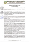 Vista preliminar de documento RG N° 237-2023