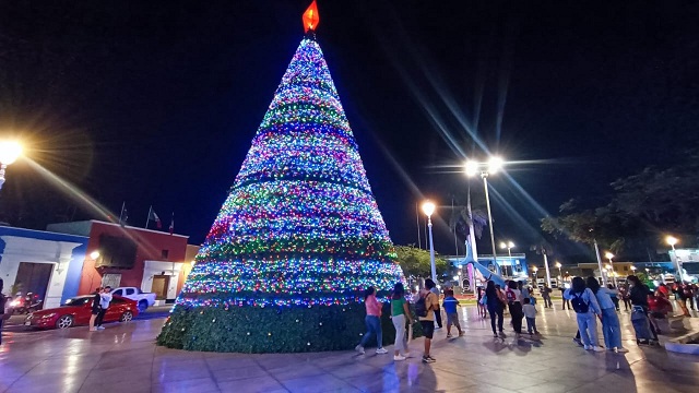 Hubo prueba exitosa del encendido de las miles de luces de diversos colores que hay alrededor del árbol.