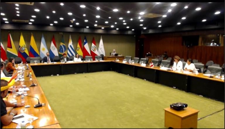 Mercosur: Ministerio de Cultura compartió experiencias sobre políticas públicas en beneficio de pueblos indígenas u originarios