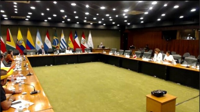 Mercosur: Ministerio de Cultura compartió experiencias sobre políticas públicas en beneficio de pueblos indígenas u originarios