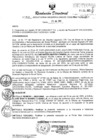 Vista preliminar de documento RESOLUCION DIRECTORAL N° 515 - 2023