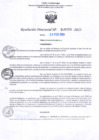Vista preliminar de documento RD Nº000356 