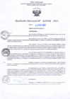 Vista preliminar de documento RD Nº000358