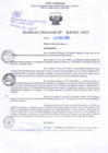 Vista preliminar de documento RD Nº000360 