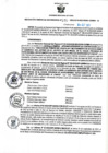Vista preliminar de documento RGSR N° 376