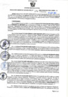 Vista preliminar de documento RGSR N° 378