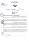 Vista preliminar de documento RD Nº000365 