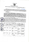 Vista preliminar de documento RGSR N° 380