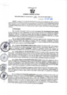 Vista preliminar de documento RGSR N° 381
