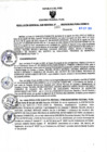 Vista preliminar de documento RGSR N° 383