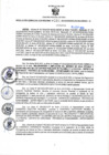 Vista preliminar de documento RGSR N° 384