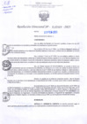Vista preliminar de documento RD Nº000369 