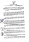 Vista preliminar de documento RGSR N° 388
