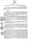 Vista preliminar de documento RGSR N° 389