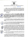 Vista preliminar de documento RGSR N° 390
