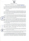 Vista preliminar de documento RGSR N° 393