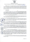 Vista preliminar de documento RGSR N° 394