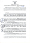 Vista preliminar de documento RGSR N° 397